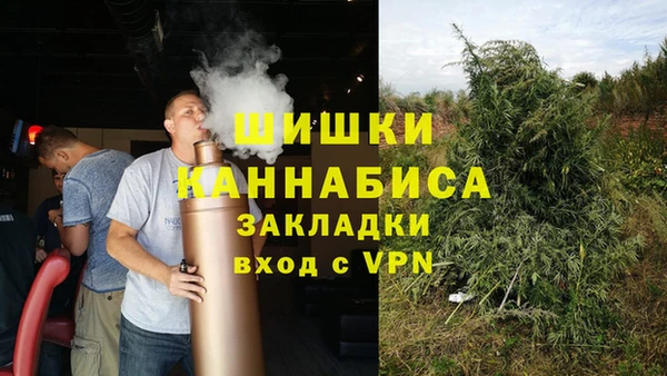 бошки Богданович