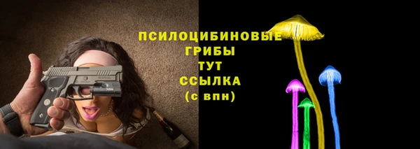 бошки Богданович