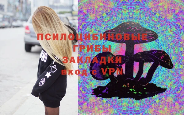 бошки Богданович